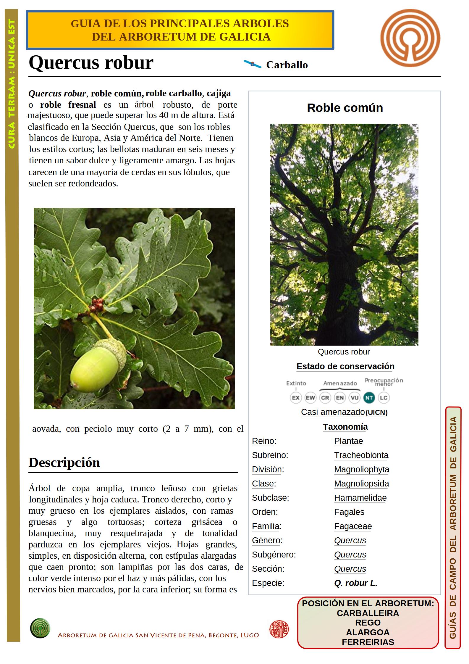 Metodología | Arboretum de Galicia